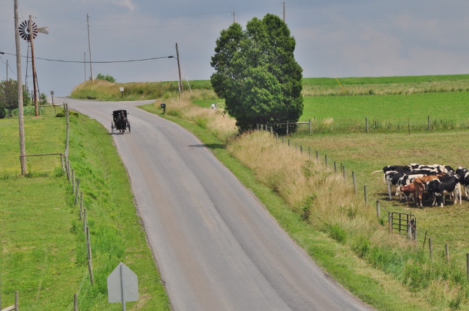 Ohio Amish farmland